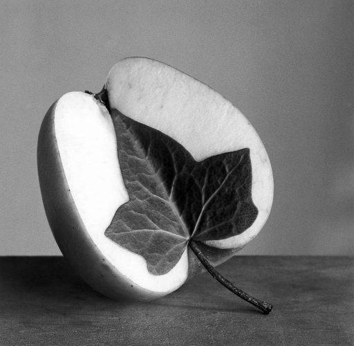 ChemaMadoz2-512×500