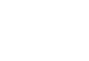 Notodofilmfest